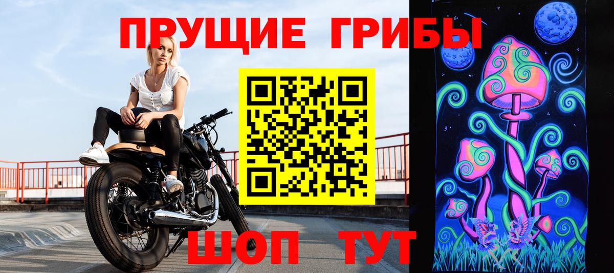 Псилоцибиновые грибы GOLDEN TEACHER Советск